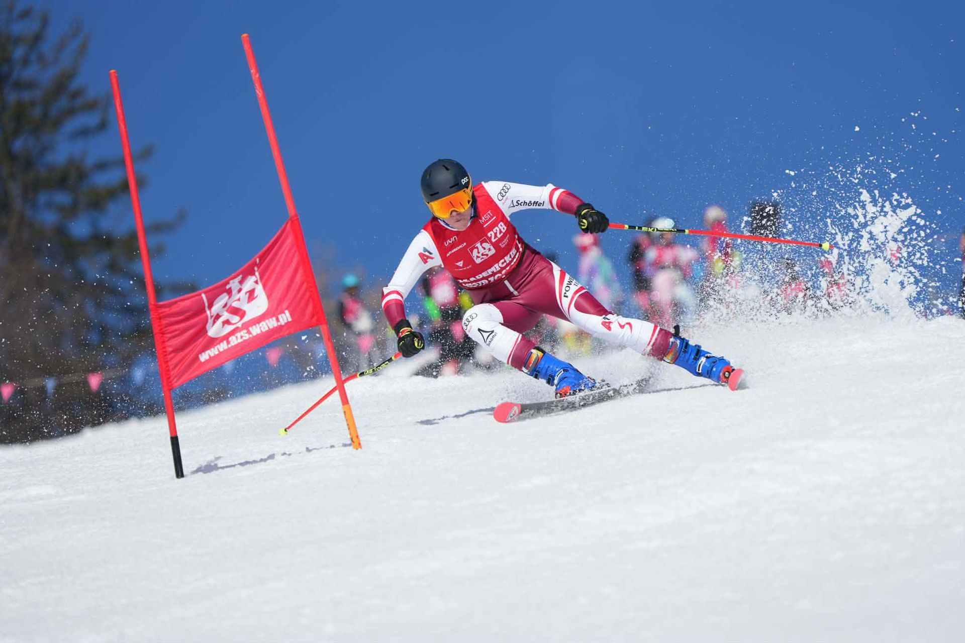 Podsumowanie tygodnia AZS AWFiS Gdańsk